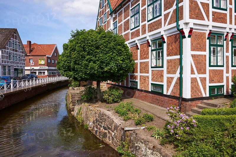 Ditch Jorker Hauptwettern and Norway maple (Acer platanoides) in front of the town hall in Jork, Altes Land, district of Stade, Lower Saxony, Germany, Europe