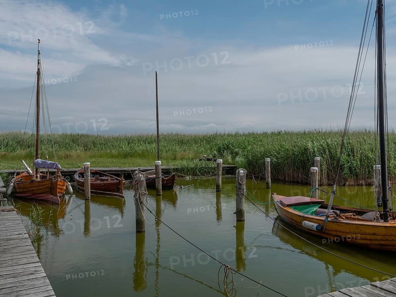 Several boats are moored in the calm waters of a small harbour entrance, surrounded by tall reeds and a cloudy skyscape, ahrenshoop, zingst, germany