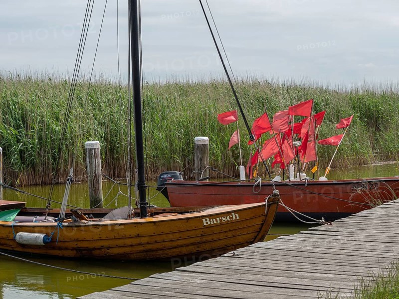 Two wooden boats with red sails are moored on a wooden jetty in the water, surrounded by thick reeds, ahrenshoop, zingst, germany