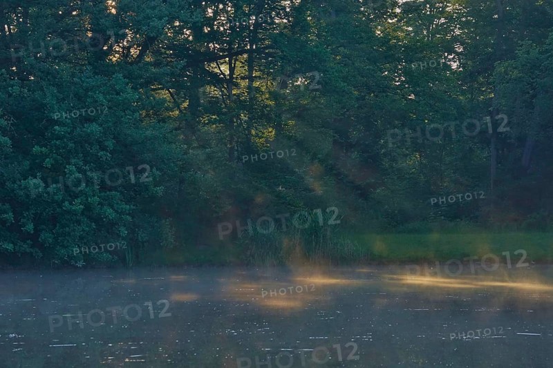 Summer morning atmosphere, morning fog, Germany, Europe
