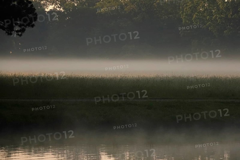 Summer morning atmosphere, morning fog, Germany, Europe