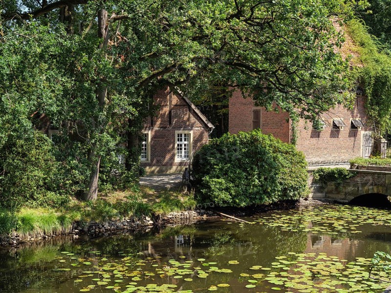 Rural scene with a pond full of water lilies, surrounded by brick buildings and green trees, ochtrup, münsterland, germany