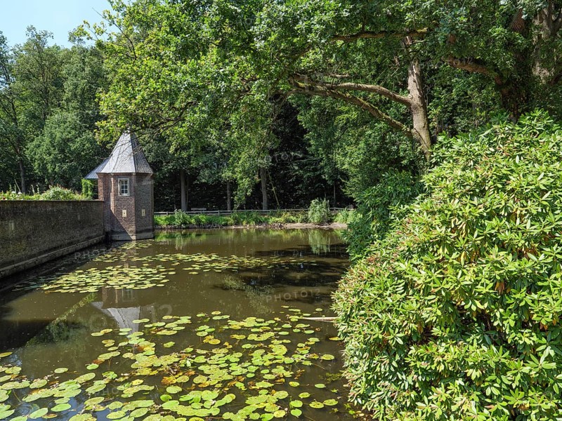 A quiet pond with water lilies, surrounded by trees and a small pavilion, ochtrup, münsterland, germany