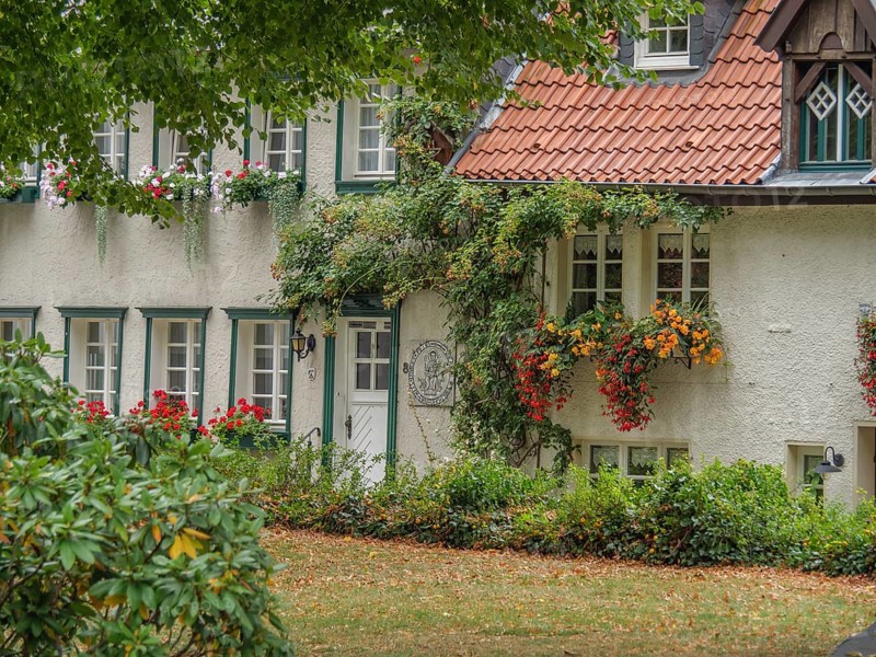 A charming half-timbered house with ivy and blooming flowers, surrounded by a green garden, Werl, North Rhine-Westphalia, Germany, Europe