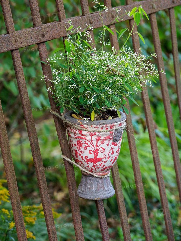 A flower pot with flowers hangs on an iron fence in the garden, surrounded by green landscape, SChermbeck North Rhine-Westphalia, Germany, Europe