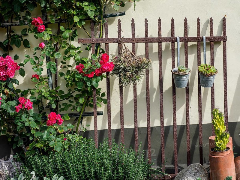 Garden with a high iron fence, decorated with roses and small pots with plants, surrounded by green foliage, SChermbeck North Rhine-Westphalia, Germany, Europe