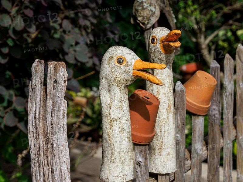 Wooden fence with decorative duck sculptures and clay pots that add a playful touch to the garden, SChermbeck North Rhine-Westphalia, Germany, Europe