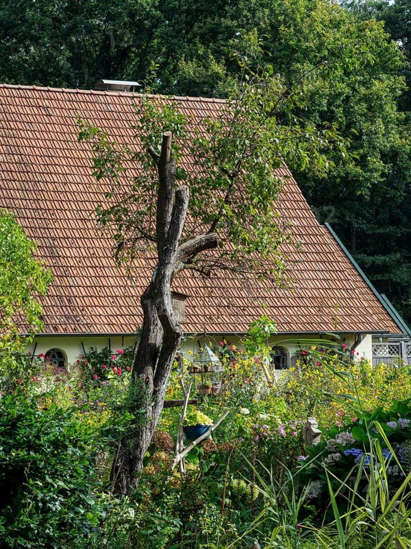 A small house with a red tiled roof and a lush garden full of flowers and trees that radiates a rural idyll, SChermbeck North Rhine-Westphalia, Germany, Europe