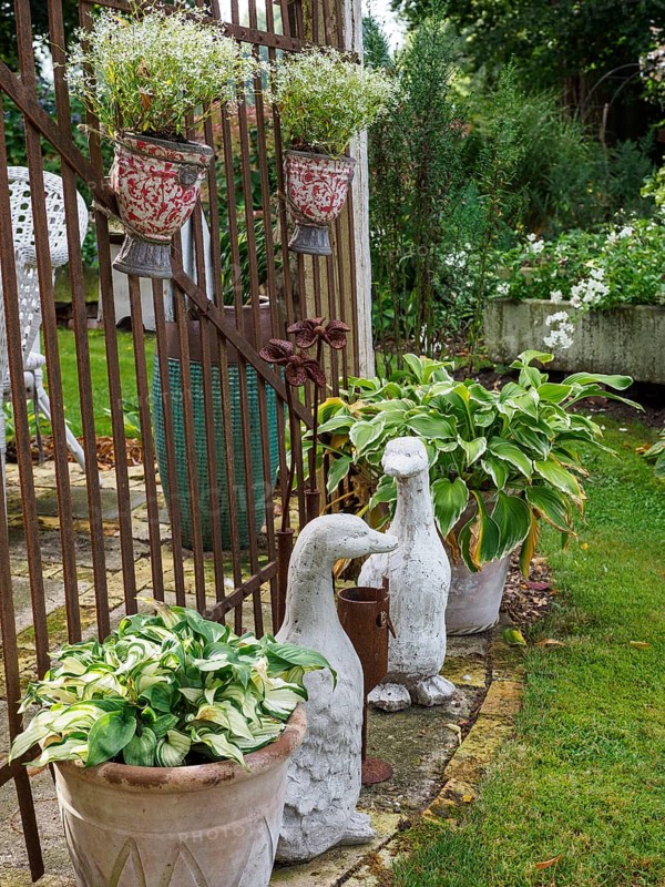 Garden area with duck sculptures, flower pots and plants next to a lattice fence, SChermbeck North Rhine-Westphalia, Germany, Europe