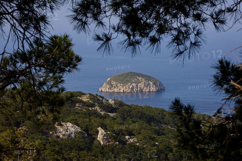 View through the pine trees to a rocky island in the sea, near the village of Monolithos, Rhodes, Dodecanese, Greek Islands, Greece, Europe