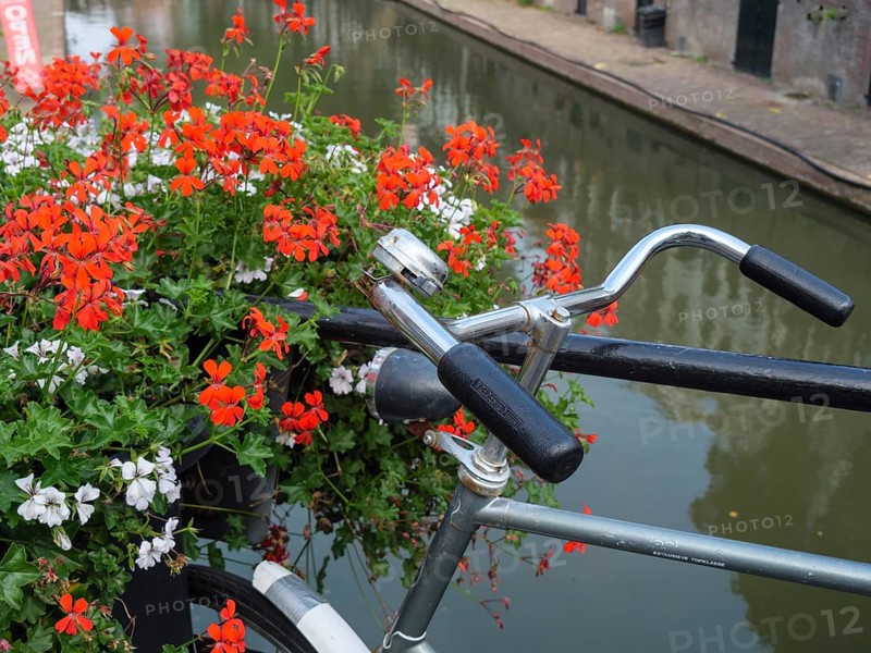 A bicycle leans against a railing, decorated with blooming flowers, along a canal with reflecting water, utrecht, Netherlands