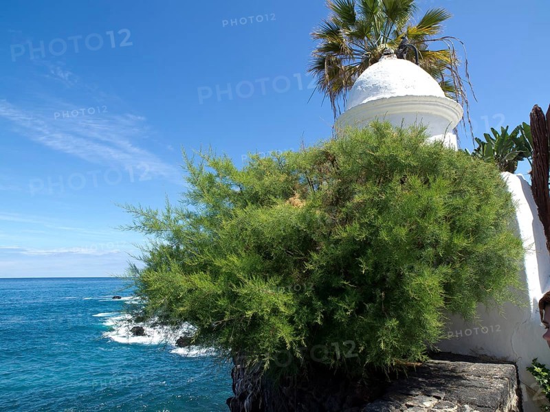 White domed tower surrounded by green plants with sea view on a sunny day, Puerto de la cruz, tenerife, spain