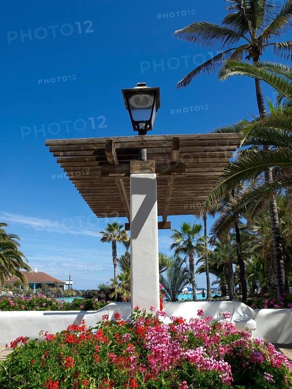 Blooming garden with a pavilion, palm trees and blue sky