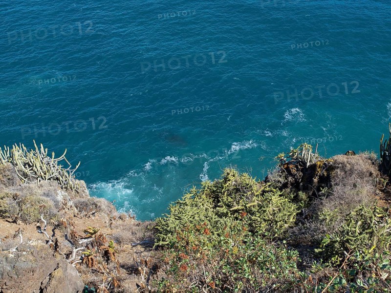 View from a cliff to the blue sea, surrounded by cacti and other plants, Puerto de la cruz, tenerife, spain