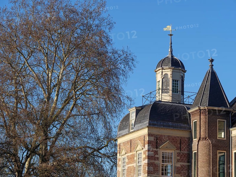 Detail of a castle with weather vane and tree silhouette, clear sky and historical architecture, ruurlo, gelderland, the netherlands