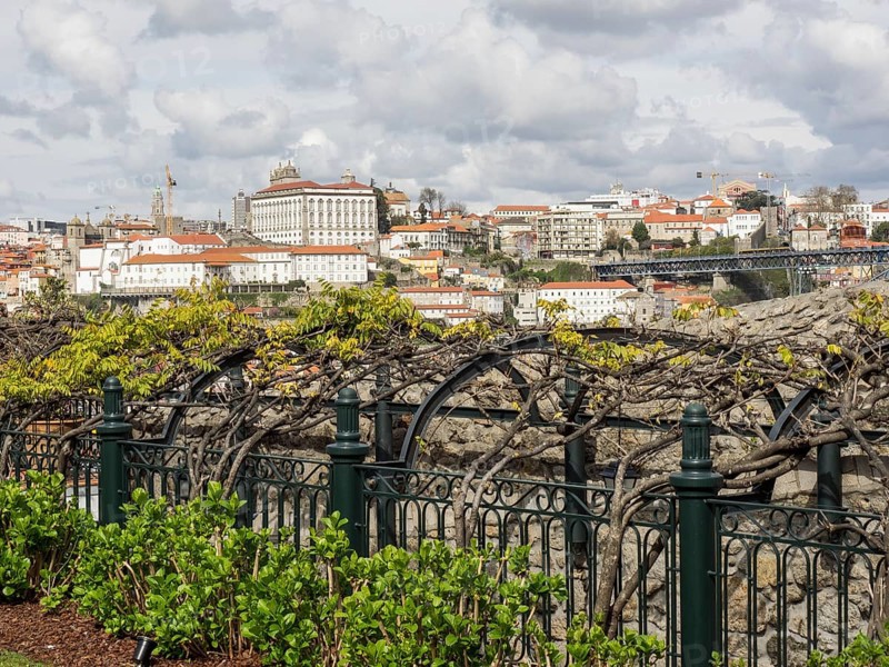 Wide angle shot of the city, foreground vineyards and historic architecture in the sky, Porto, Douro, Portugal, Europe