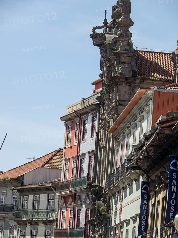 Detailed sight with sculptures and neighbouring houses, Porto, Douro, Portugal, Europe
