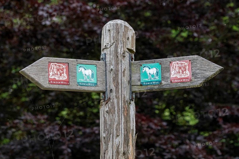 Signpost, Geltinger Birk, Geltinger Bucht, Nieby, Schleswig-Holstein, Germany, Europe