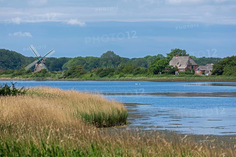 Charlotte windmill, sea, Baltic Sea, Geltinger Birk, Geltinger Bucht, Nieby, Schleswig-Holstein, Germany, Europe