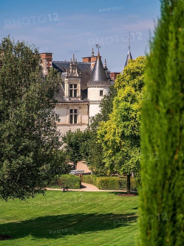 The Chateau d'Amboise on a sunny summer day