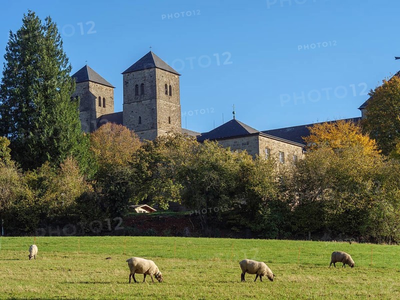 Castle on a hill surrounded by meadows, trees and grazing sheep in the sunshine, nottuln, münsterland, germany