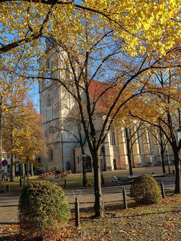 Church building in autumn surrounded by trees with yellow leaves and sunshine, nottuln, münsterland, germany
