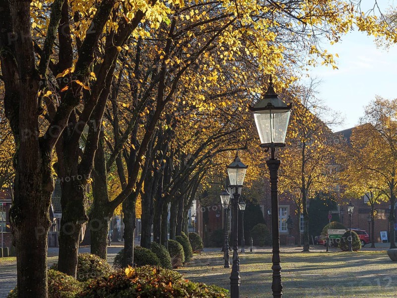 Pavement with lanterns lined by trees with yellow autumn leaves under a sunny sky, nottuln, münsterland, germany