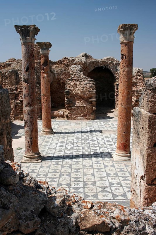 A few of the remaining pillars which once builded the Capitol