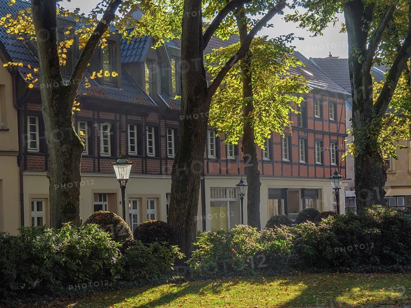 Historic half-timbered houses embellished with autumnal gardens and trees bathed in sunlight, nottuln, münsterland, germany