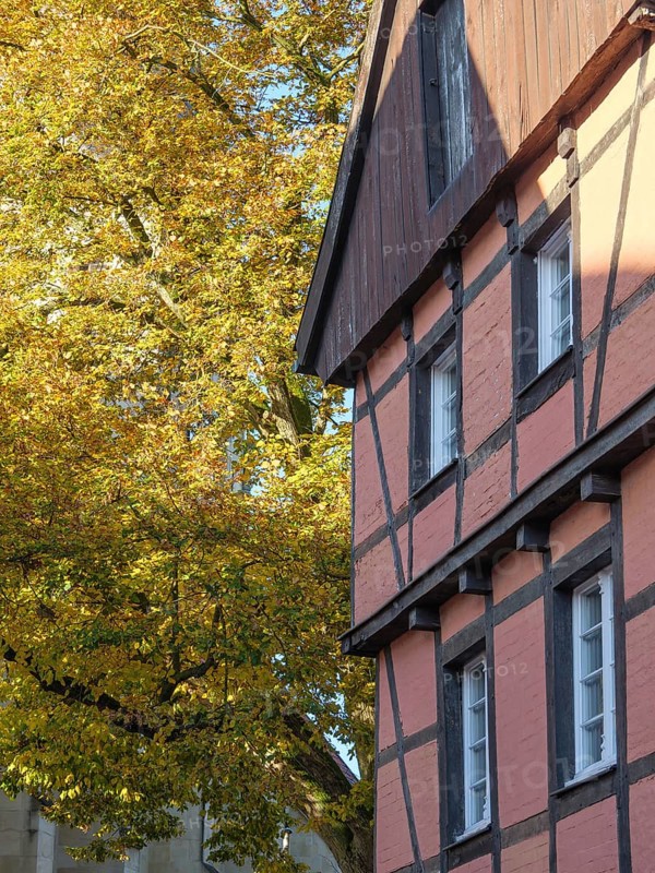 A half-timbered house in autumn colours with colourful leaves on a large tree next to the house, nottuln, münsterland, germany