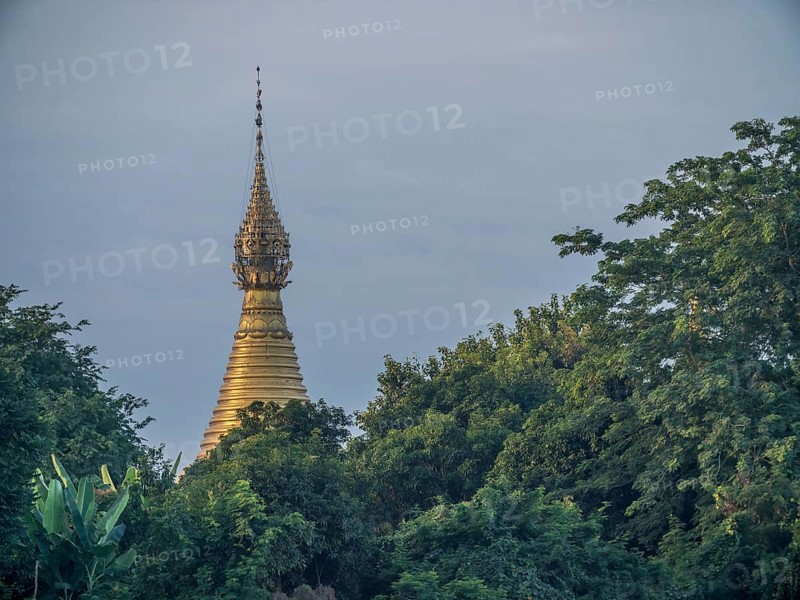 Golden stupa behind green trees at the Irrawaddy river