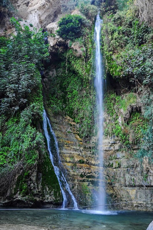The national park Ein Gedi, Israel, Asia