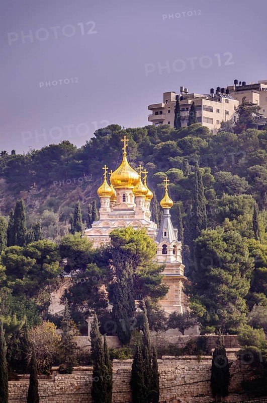 View on Mary Magdalene s cathedral of Russian Orthodox Gethsemane convent among trees on Mount of Olives slope