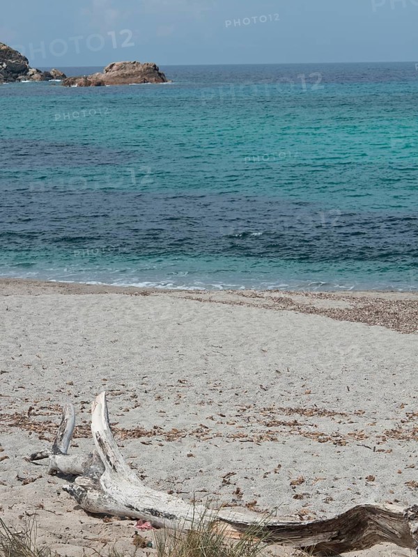 A quiet beach with driftwood in the foreground and the sea and rocks in the background, ajaccio, corsica, france