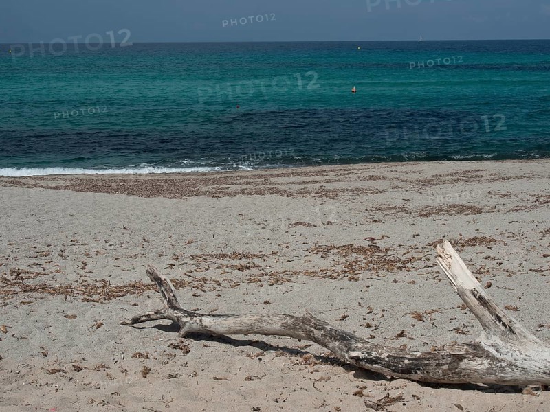 A sandy beach with a piece of driftwood and clear, turquoise-coloured sea under a cloudy sky, ajaccio, corsica, france