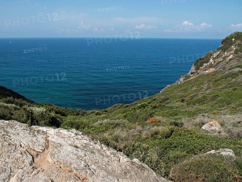 Rocks and vegetation at the edge of the deep blue sea under a blue sky, ajaccio, corsica, france