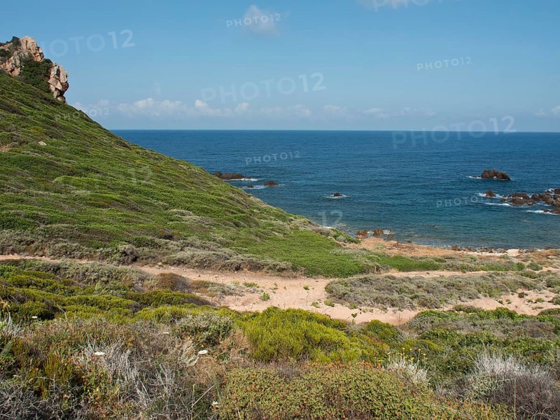 A green hill stretches down to the coast, with the sea and some rocks visible in the background, ajaccio, corsica, france