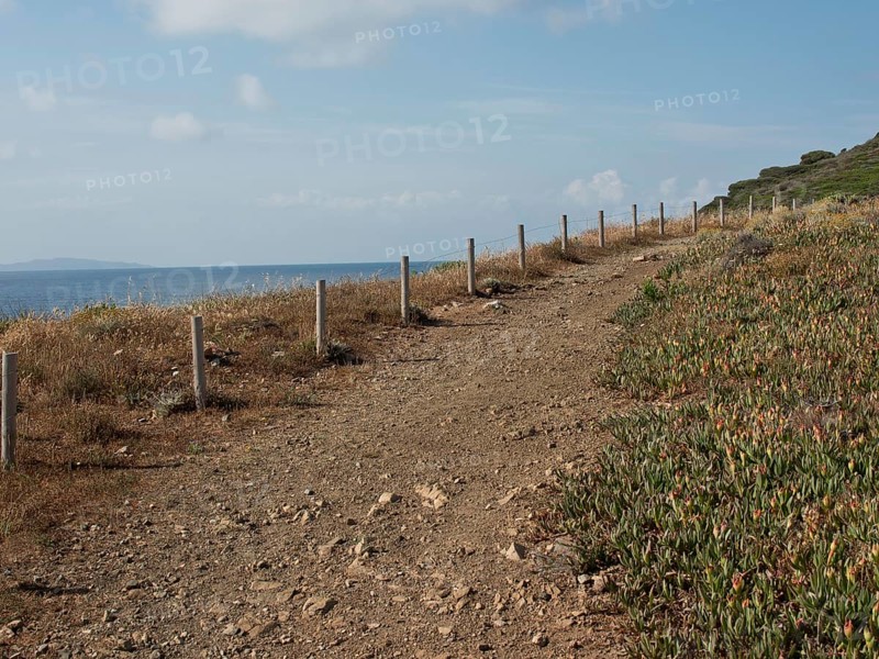 Path along a coastline with railings, plants and a view of the sea under a blue sky, ajaccio, corsica, france