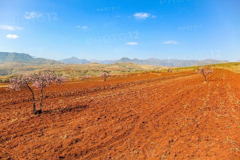 Big field in the kingdom of Lesotho