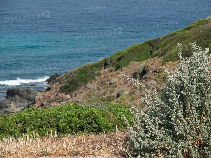 Coastal landscape with a view of the sea, green bushes and rocks in the foreground, ajaccio, corsica, france