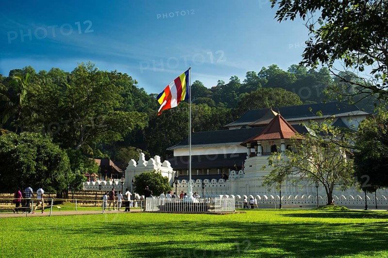 The city of Kandy is the home of The Temple of the Tooth Relic (Sri Dalada Maligawa), one of the most venerable places for the Buddhist community of Sri Lanka and all around the world