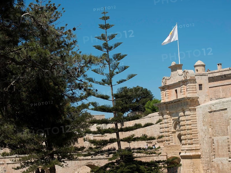 Historic fortress with stone wall, waving flag and tall trees against a blue sky, mdina, mediterranean sea, Malta, Europe