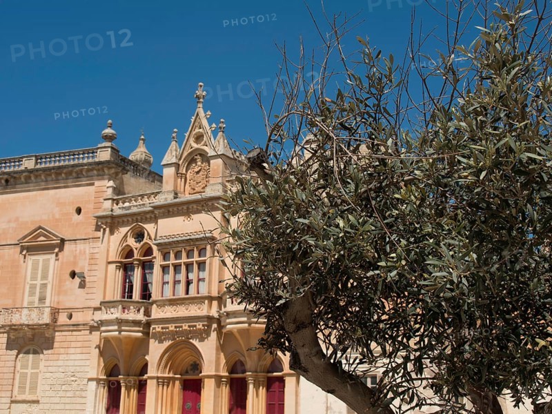 Classical architecture of a historic building in the background, with a bare tree in the foreground, mdina, mediterranean sea, malta