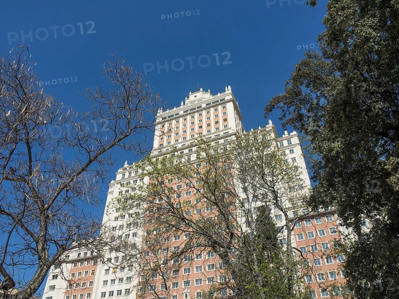 A large, historic building towers over a tree while the sky is clear and bluish, Madrid, Spain, Europe