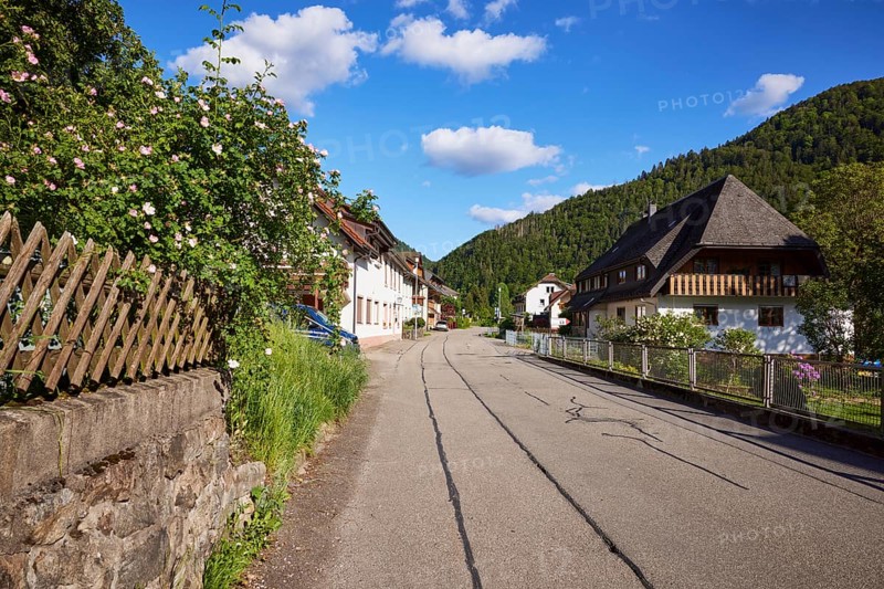 Street with houses, hunter's fence and hedge roses in the historic district of Geschwend, Todtnau, Black Forest, Lorrach district, Baden-Württemberg, Germany, Europe