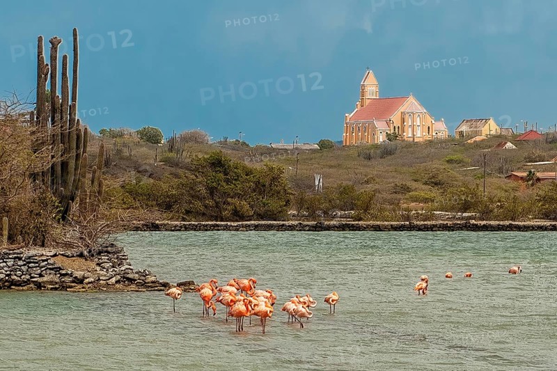 View at dusk over lagoon with flamingos to Sint Willibrordus church built between 1884 and 1888 in Neo-Gothic architecture, Caribbean, Windward Islands, Netherlands Antilles, ABC Islands ABC Islands, Willibrordus, Curaçao Curacao