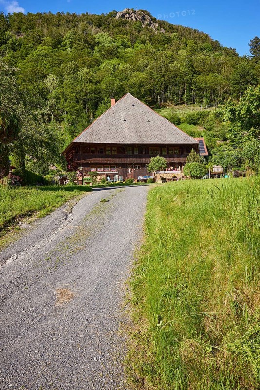 Typical Black Forest house with driveway in the historic district of Geschwend, Todtnau, Black Forest, district of Lorrach, Baden-Württemberg, Germany, Europe
