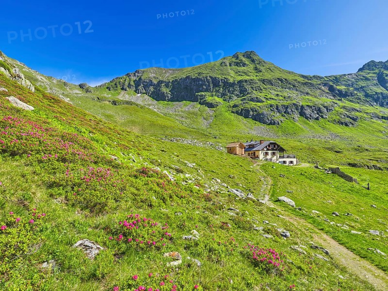 Landawirseehütte with Samspitze and alpine roses, Landawirsee blue sky, Schladminger Tauern, Goriach, Lungau, Salzburg