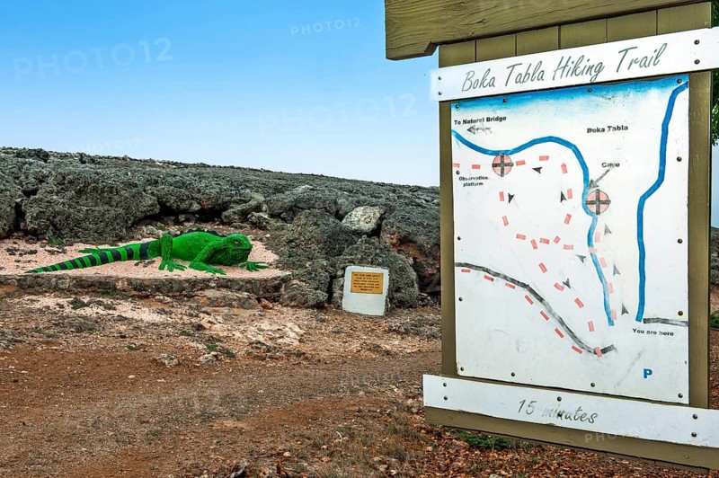 Sign with site plan overview map plan for hikers tourists at the beginning of Boka Tabla Hiking Trail, left artificial oversized poisonous green iguana, Caribbean, Windward Islands, Netherlands Antilles, ABC Islands ABC Islands, Willibrordus, Curaçao Curacao