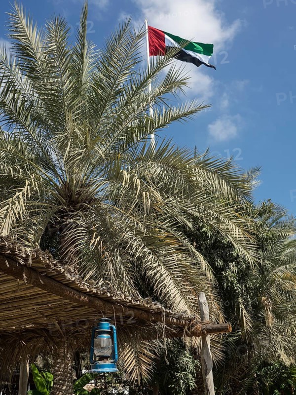 Palm tree and flag fluttering in the wind, lamp hanging under a roof of palm fronds, abu dhabi, united arab emirates